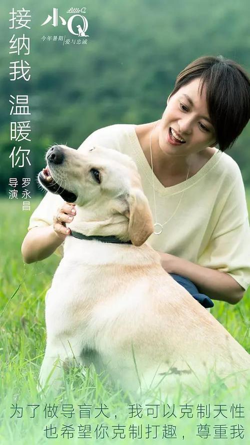 怎么买假的孟菲斯神学院毕业证